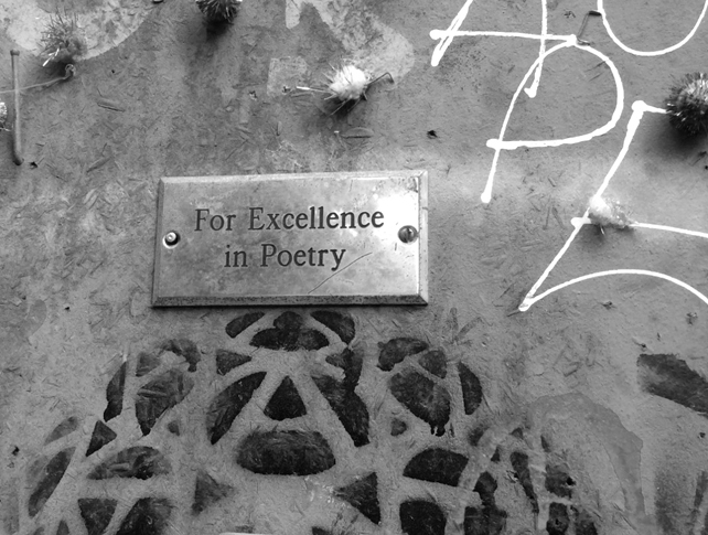For Excellencein Poetry